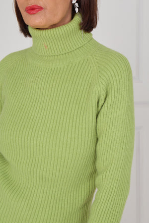 Margo polar neck in apple green