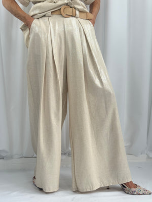 Anisa suit in champagne